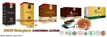 Le Ganoderma Lucidum ou Reishi
